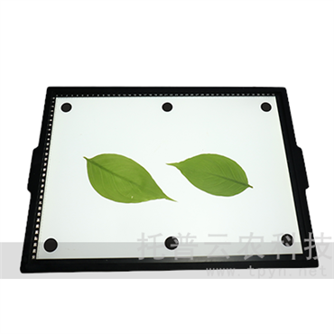 智能葉面積測量系統(tǒng)