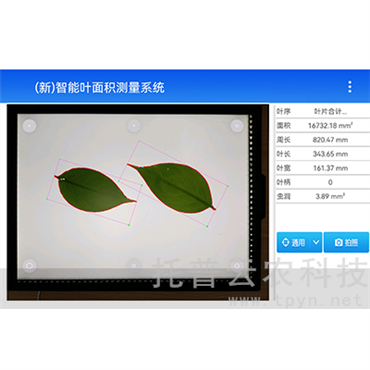 智能葉面積測量系統(tǒng)
