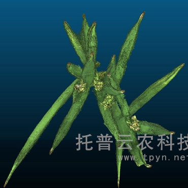 盆栽植物三維數(shù)字表型采集分析系統(tǒng)
