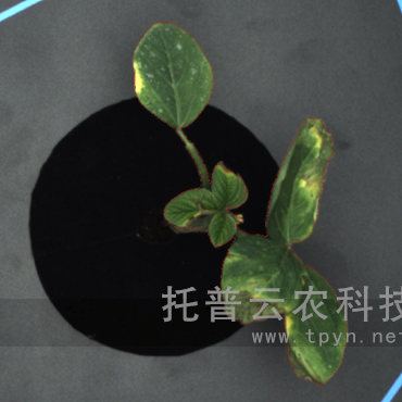 高通量逆境模擬及植物生長(zhǎng)監(jiān)測(cè)平臺(tái)