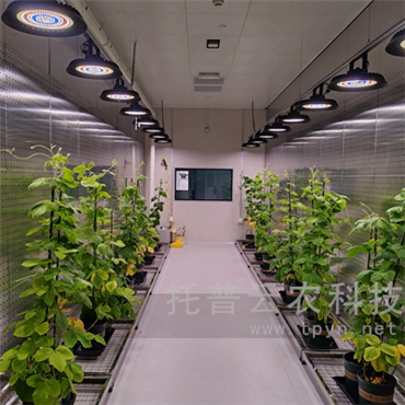 智能人工氣候室