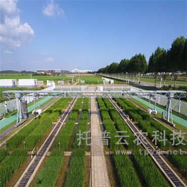 龍門(mén)式高通量表型采集分析平臺(tái)(地軌式)