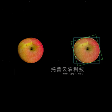 高光譜品質分析儀(果實)