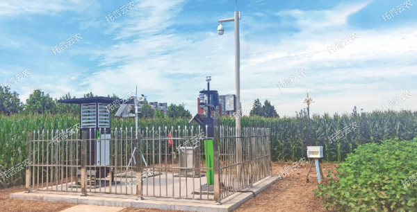 實時采集制種基地農(nóng)情、墑情、病情、蟲情數(shù)據(jù)信息